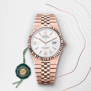 Rolex Land-Dweller 40 Everose Gold